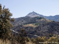 Aftermath of brush fires near Loutses August 2011