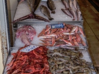 Fresh Fish - Corfu Market