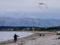 Kite Flying