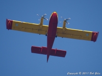 Canadair  fire-fighting seaplane in action.